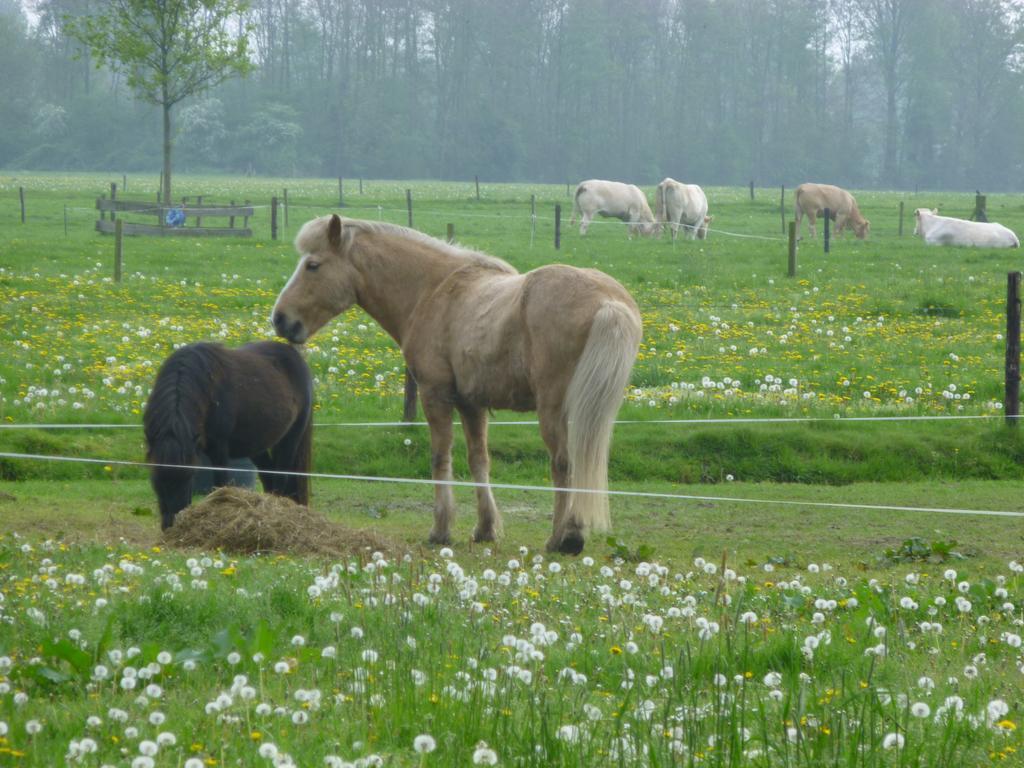 De Langenlee Zwolle (Overijssel)